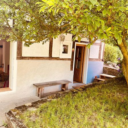 Gemuetliches Ferienhaus Im Extertal/ Lippe Екстер'єр фото