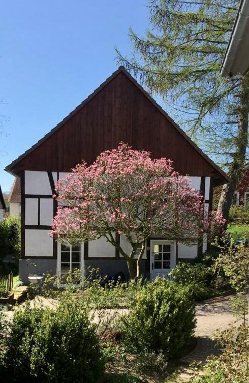 Gemuetliches Ferienhaus Im Extertal/ Lippe Екстер'єр фото