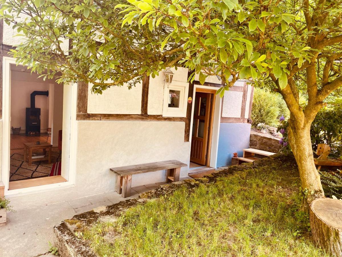 Gemuetliches Ferienhaus Im Extertal/ Lippe Екстер'єр фото